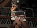 The beauty of vintage Moog ⚡️ #synth