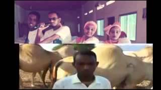 Dhaanto Cusub 2015 Erayadii Laxankii Abwaan Nuradi