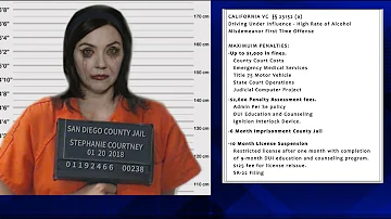 Stephanie Courtney, Progressives Flo, Arrested