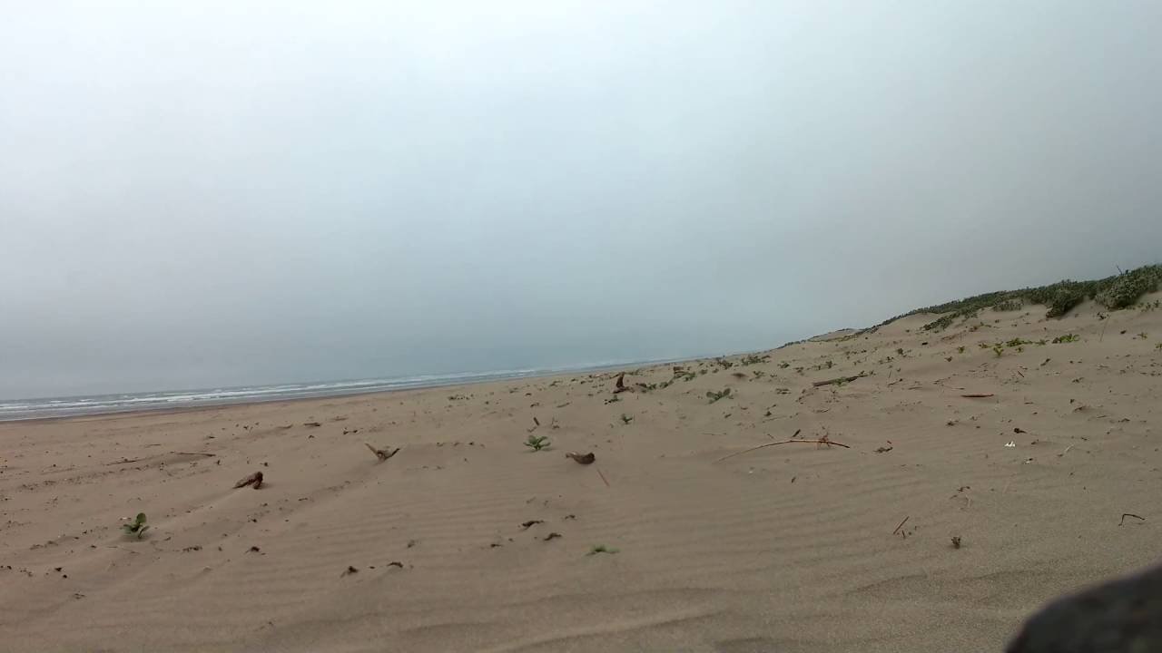 OCEAN PARK, WA BEACH Pacific Ocean Storm Long Beach Peninsula YouTube