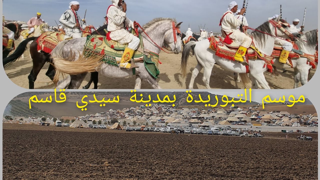 موسم الصالح سيدي قاسم بوعسرية/ petit Jean أكبر موسم التبوريدة 29/10/22شوق وفرحة كبيرة لأهل المدينة