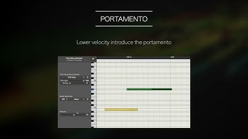 Samplemodeling Strings - Tutorial n.3 (Legato, Portamento & Glissando)