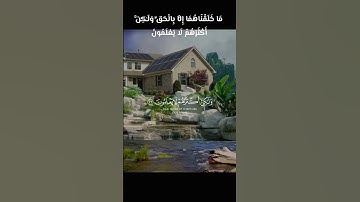 تلاوة عطرة للقرآن الكريم بصوت القارئ #عبدالله_باطرفي #القرآن_الكريم #fy