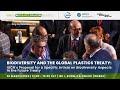 Biodiversity &amp; Global Plastics Treaty: IUCN Proposal for  Specific Article on “Biodiversity Aspects”