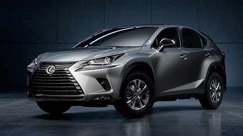 LEXUS NX200 2019  升級全功能 全速域+車道維持可調+自動跟車起停  tesla 特斯拉 comma ai openpilot