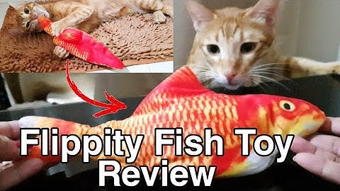 I Brought My Cat A New Realistic Flippity Fish! Unboxing and Review  2020!