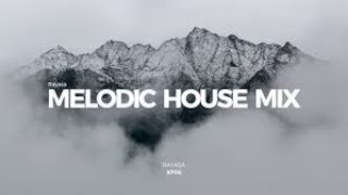 Orion Global House Radio Station is the ultimate destination for organic house music lovers.