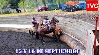 EN TUCAPEL ESTE 15 Y 16 DE SEPTIEMBRE ESTAREMOS CON LA RED ONLINE DE TVCHILENOS