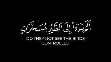 ألم يروا إلى الطير مسخرات | ياسر الدوسري شاشة سوداء - سورة النحل تلاوات الدوسري القديمة كرومات قرآن