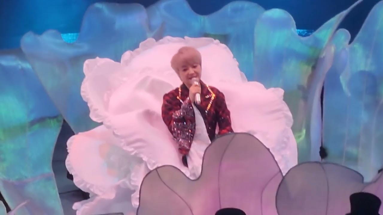 陳慧嫻40周年演唱會2025 首場揭幕opening+奇妙旅程