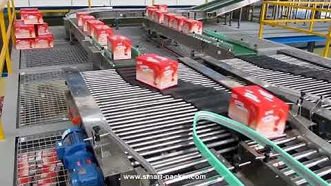 Sorting conveyor for box carton case