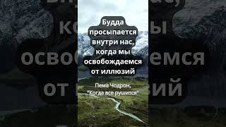 Будда просыпается внутри нас, когда мы освобождаемся от иллюзий. Пема Чодрон #shorts