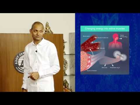 Traditional Yoga Episode #100 on August 8, 2019 video editing software free