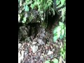 水干(多摩川最初の一滴)