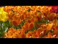 Handbook - Nimble Fingers [HD]