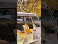 Great for outdoor activities – Bubuxian Electric Tricycle.