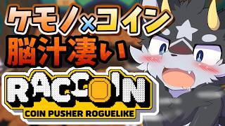【RACCOIN】可愛い×コインゲームの最強コンボ!!　初見で楽しんで行く!!【ケモノ系Vtuber】
