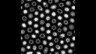 Pinwheels in Yang2003