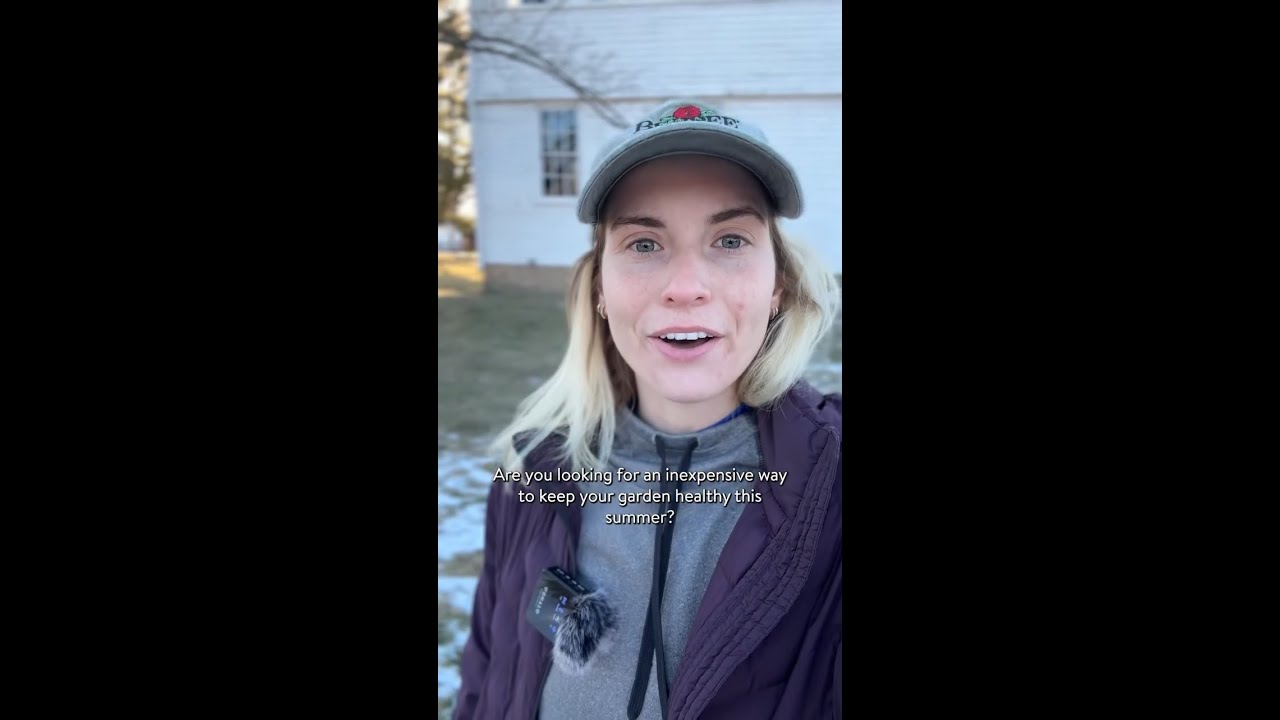 How to Rotate Crops for a Successful Garden | Burpee Seeds, Plants & Supplies