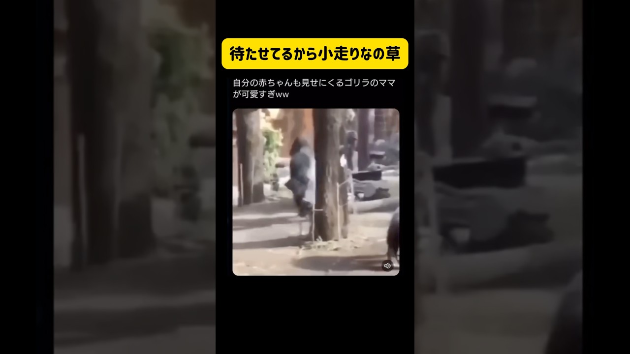 歩き方草