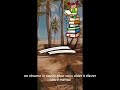 19 Mars 2026 