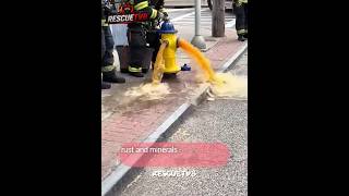 Why Firefighters ‘Waste’ Water on Purpose 🚒💧#wonderwhy #hydrant