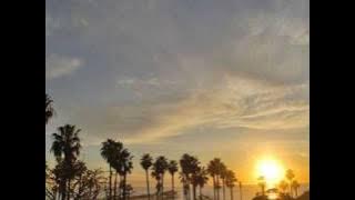 Lighter Shade Of Brown - Sunny Days