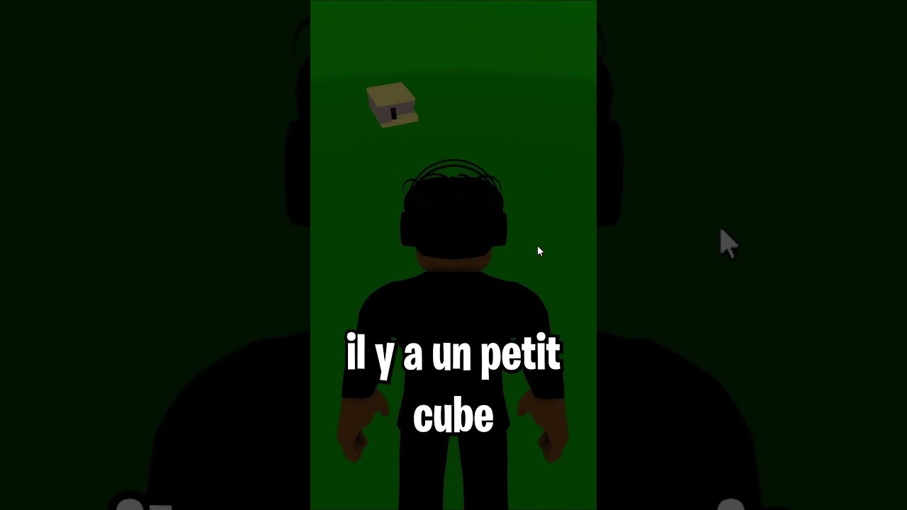 BROOKHAVEN RP MAIS J AI LES PERMISSION D ADMIN Roblox Brookhaven Foryou Shortsvideo