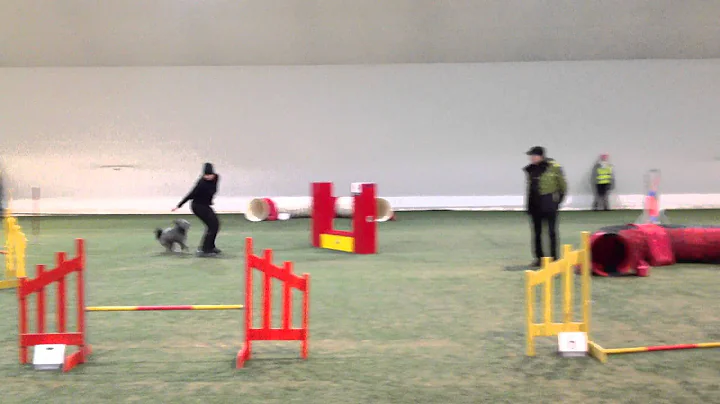 Touho Jyvskyl 15.2.2014 / Tuomari: Allan Matson