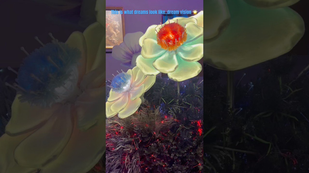 Dream vision 🖼️ exhibition..last two days left to witness the most amazing visuals🌟#viralshorts