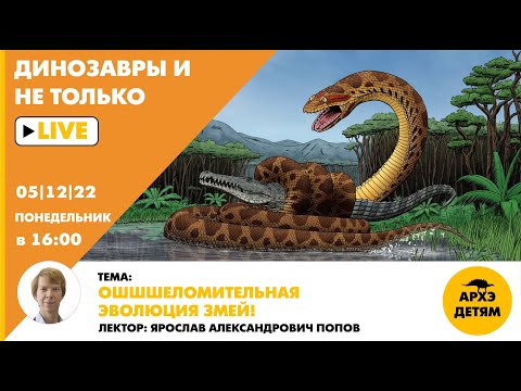 Занятие "Ошшшеломительная эволюция змей!" кружка "Динозавры и не только" с Ярославом Поповым