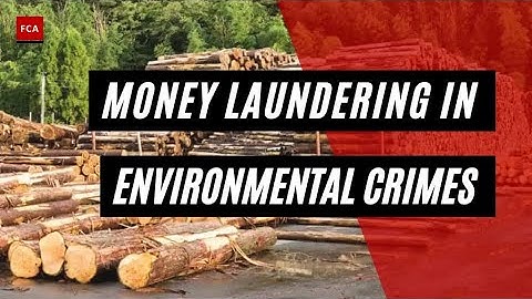 Green Crimes, Dirty Money: How Environmental Offenses Fuel Money Laundering