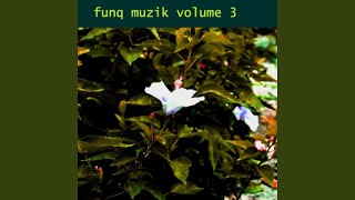 Funq Thirty-Six