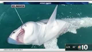 Great White Shark Caught Off the Jersey Shore | NBC10