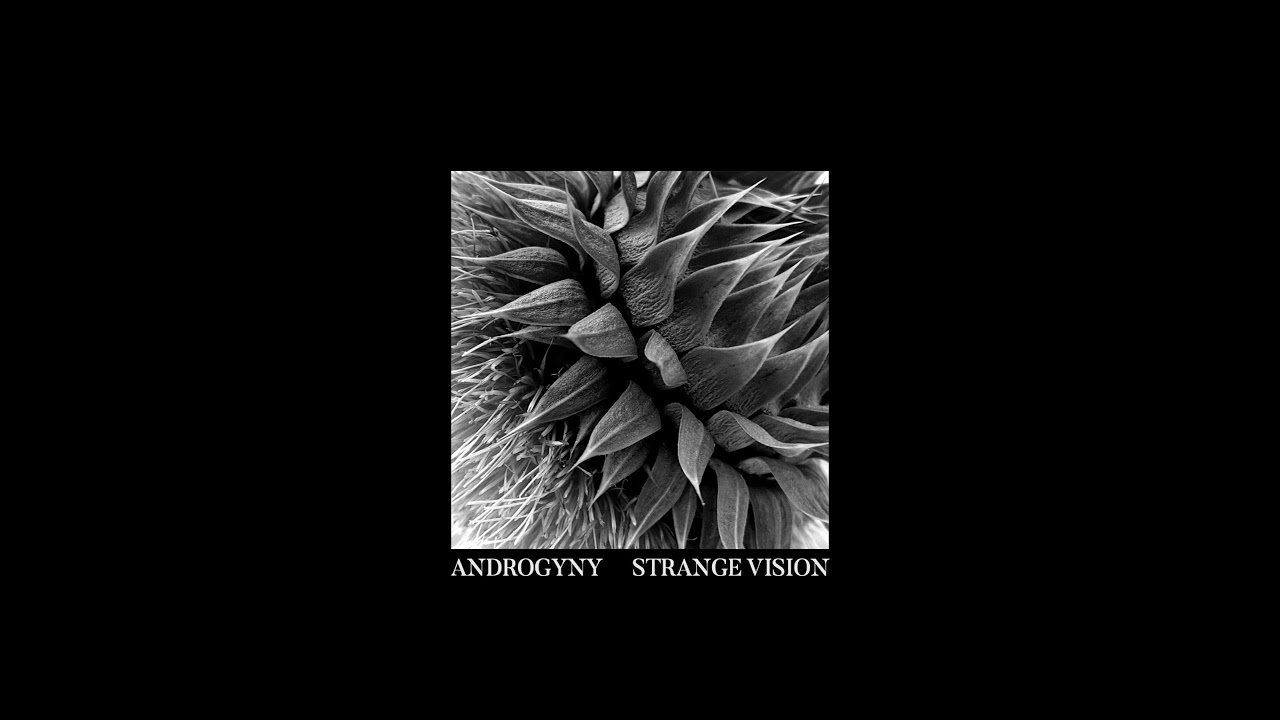 Androgyny — Strange Vision (Full Album)