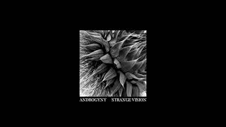 Androgyny — Strange Vision (Full Album)