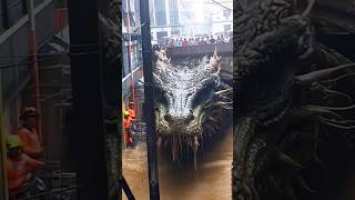 Giant Beast Attack! 😱 #animallife #viralvideo #foryou