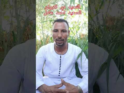 الفنان احمد عادل كروان الصعيد