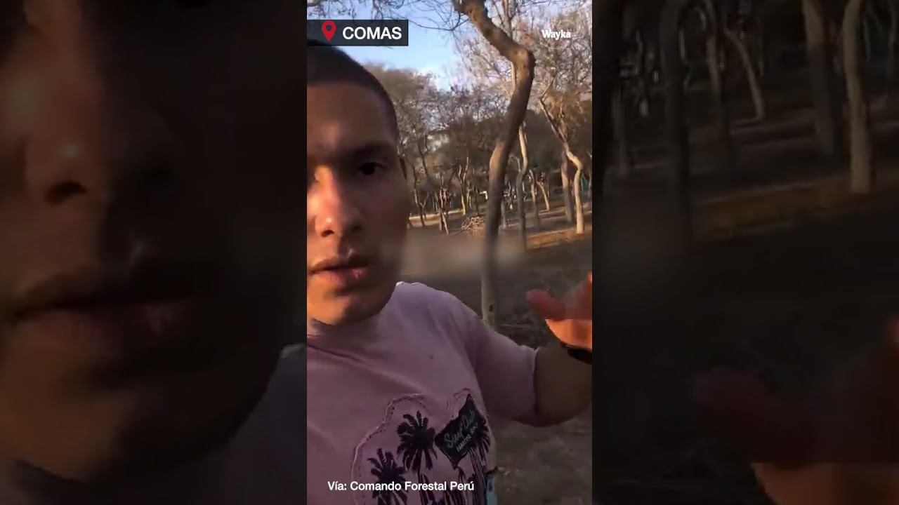 Árboles secos y sin vida: Exigen atención urgente ante el abandono del parque zonal Sinchi Roca