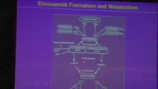 A vision of Nutrigenetics/ Nutrigenomics