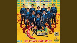 Miniatura del video "Mariachi Misterio - Mi Razón de Ser"