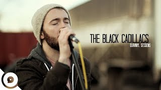 The Black Cadillacs - About You | OurVinyl Sessions chords
