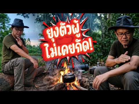 ทำไมยุงต้องดูดเลือด? (รู้แล้วจะเลิกโกรธยุงตัวผู้เลย) 🦟🩸