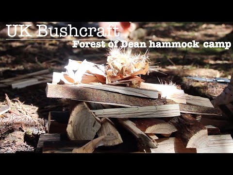Uk Bushcraft. Hammock camping in the Forest of Dean