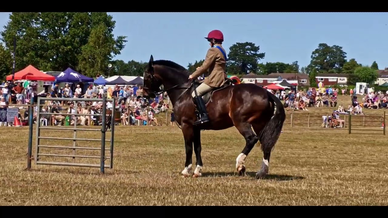Interhunt Relay display monmouthshire show aug 2025