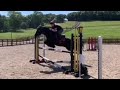 equestrian tiktok compilation / part 17
