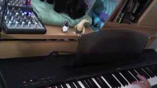 Cat Sabotage: Why I haven't uploaded piano videos in a while