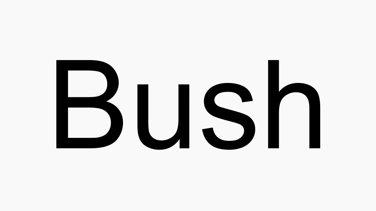 How to pronounce Bush - YouTube