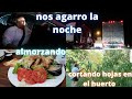 NOS AGARRO LA NOCHE EN EL CAMINO/HACIENDO CORTE DE HOJAS!!