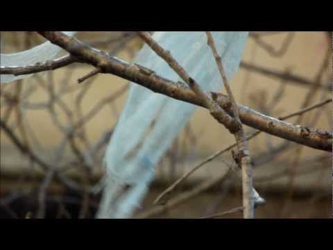 \"ჩემთვის სასიამოვნო\"